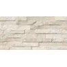 Minerai bone